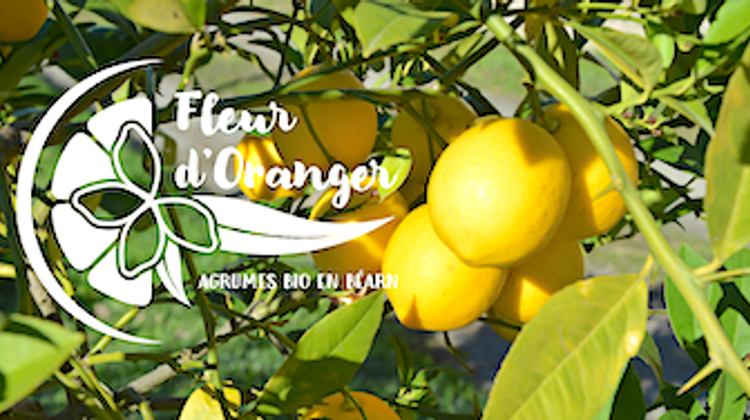 1500 COUPS DE POUCE – Jean-Yves et Charlène, paysans bio à Mialos